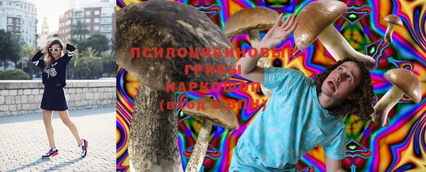 соль курить ск Белокуриха