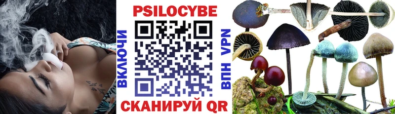 закладки  Пыть-Ях  Галлюциногенные грибы Psilocybine cubensis 
