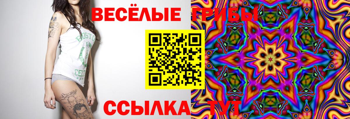 купить наркотик  Галлюциногенные грибы MAGIC MUSHROOMS  Вход с VPN  Пыть-Ях 